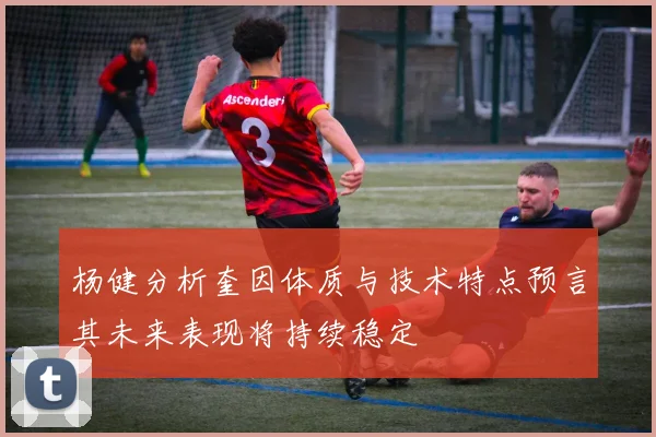杨健分析奎因体质与技术特点预言其未来表现将持续稳定
