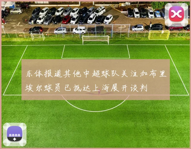 东体报道其他中超球队关注加布里埃尔球员已抵达上海展开谈判