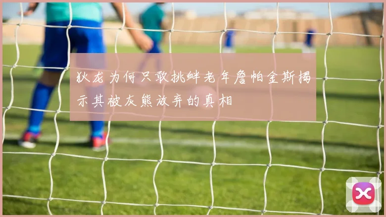 狄龙为何只敢挑衅老年詹帕金斯揭示其被灰熊放弃的真相